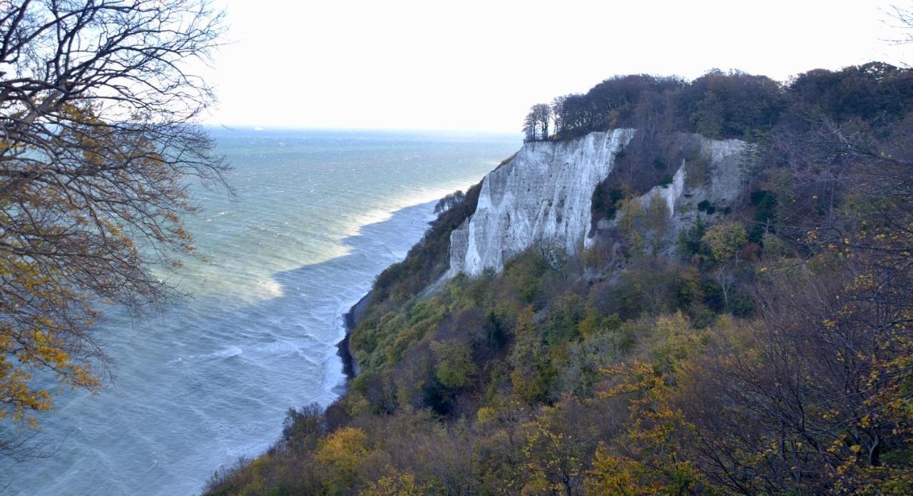 Meerforelle 207 - Villa Seeblick Sassnitz Eksteriør bilde