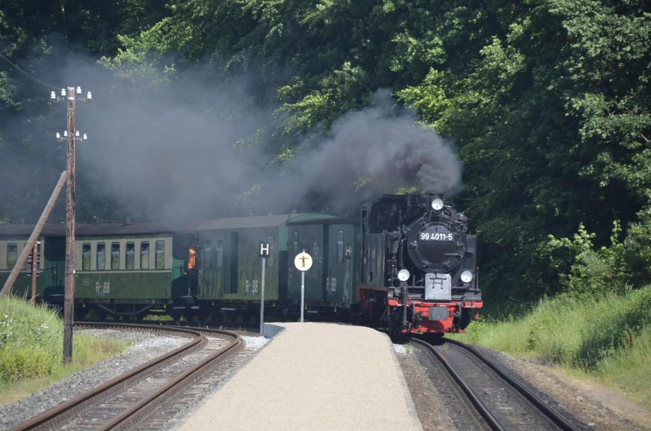 Meerforelle 207 - Villa Seeblick Sassnitz Eksteriør bilde