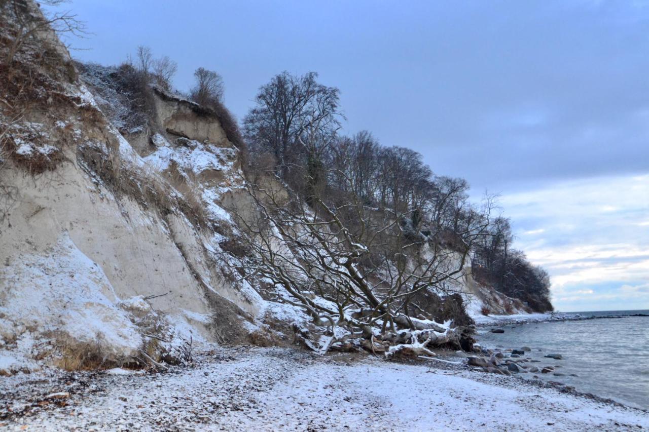 Meerforelle 207 - Villa Seeblick Sassnitz Eksteriør bilde