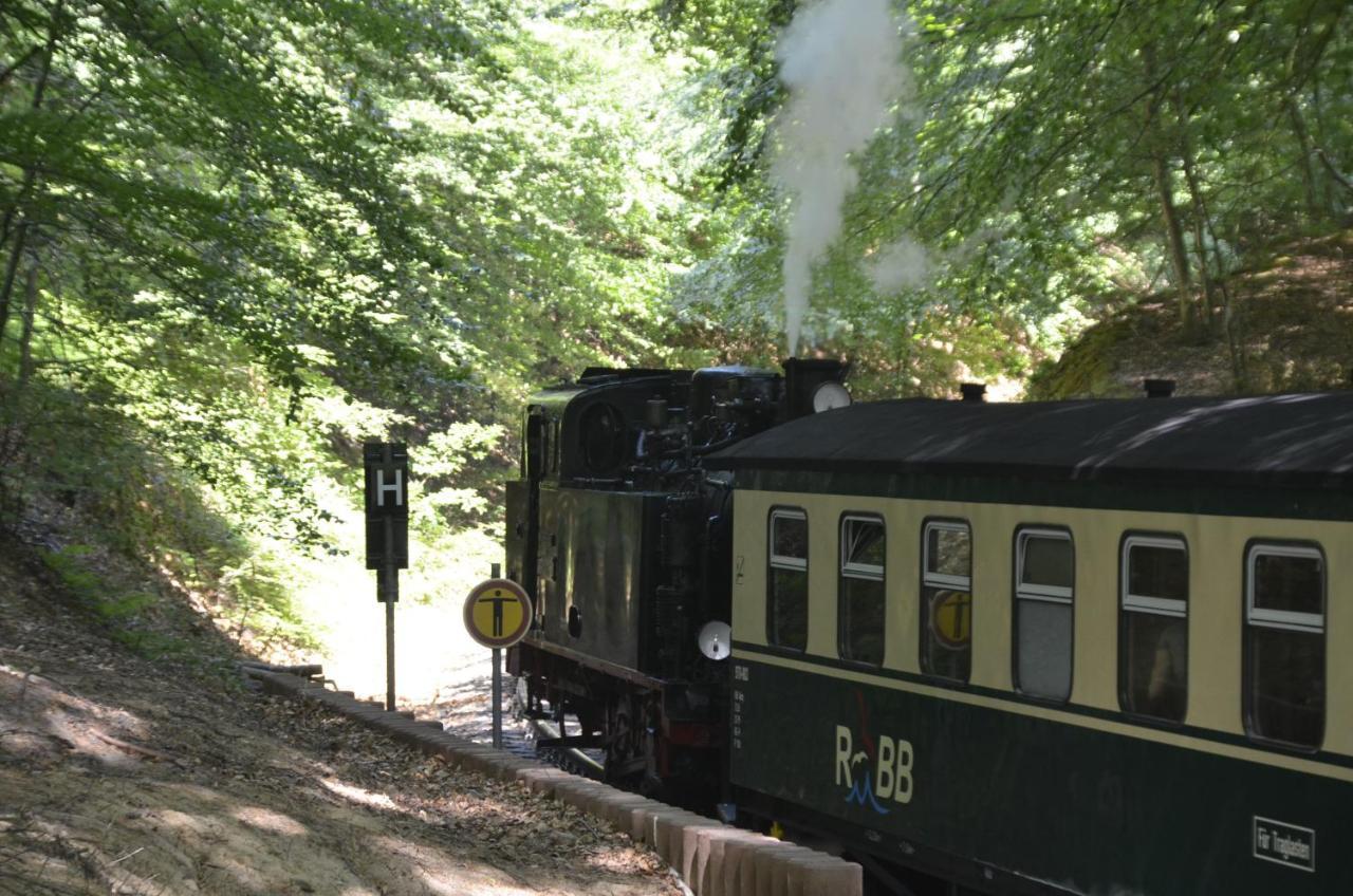 Meerforelle 207 - Villa Seeblick Sassnitz Eksteriør bilde