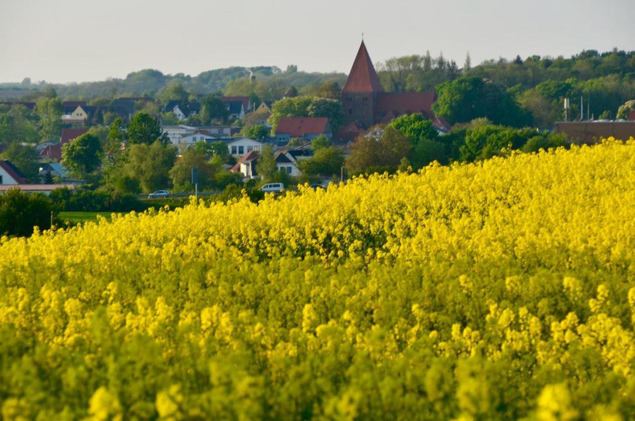 Meerforelle 207 - Villa Seeblick Sassnitz Eksteriør bilde